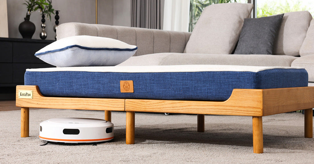 Why Cheap Elevated Dog Beds Sag, Wobble, and Break (What to Look For Instead)