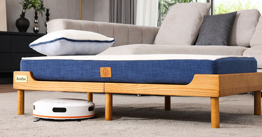 Why Cheap Elevated Dog Beds Sag, Wobble, and Break (What to Look For Instead)