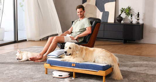 Why High-End Dog Beds Are a Smart Investment for Long-Term Pet Health