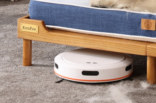 Tired of Trapped Pet Hair? Why an Elevated Bed Is a Game-Changer for Clean Floors
